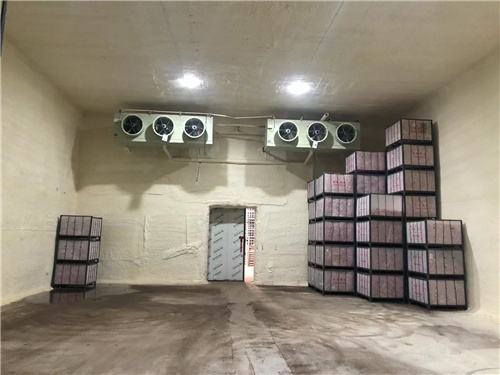 完美体育·(中国)官方网站苹果冷库安装案例