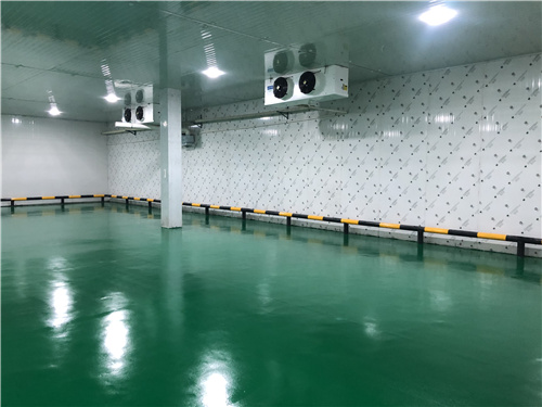 完美体育·(中国)官方网站蔬菜保鲜库